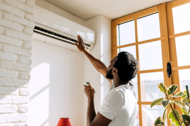 Best Air Conditioning Cleaning in Chesaning, MI